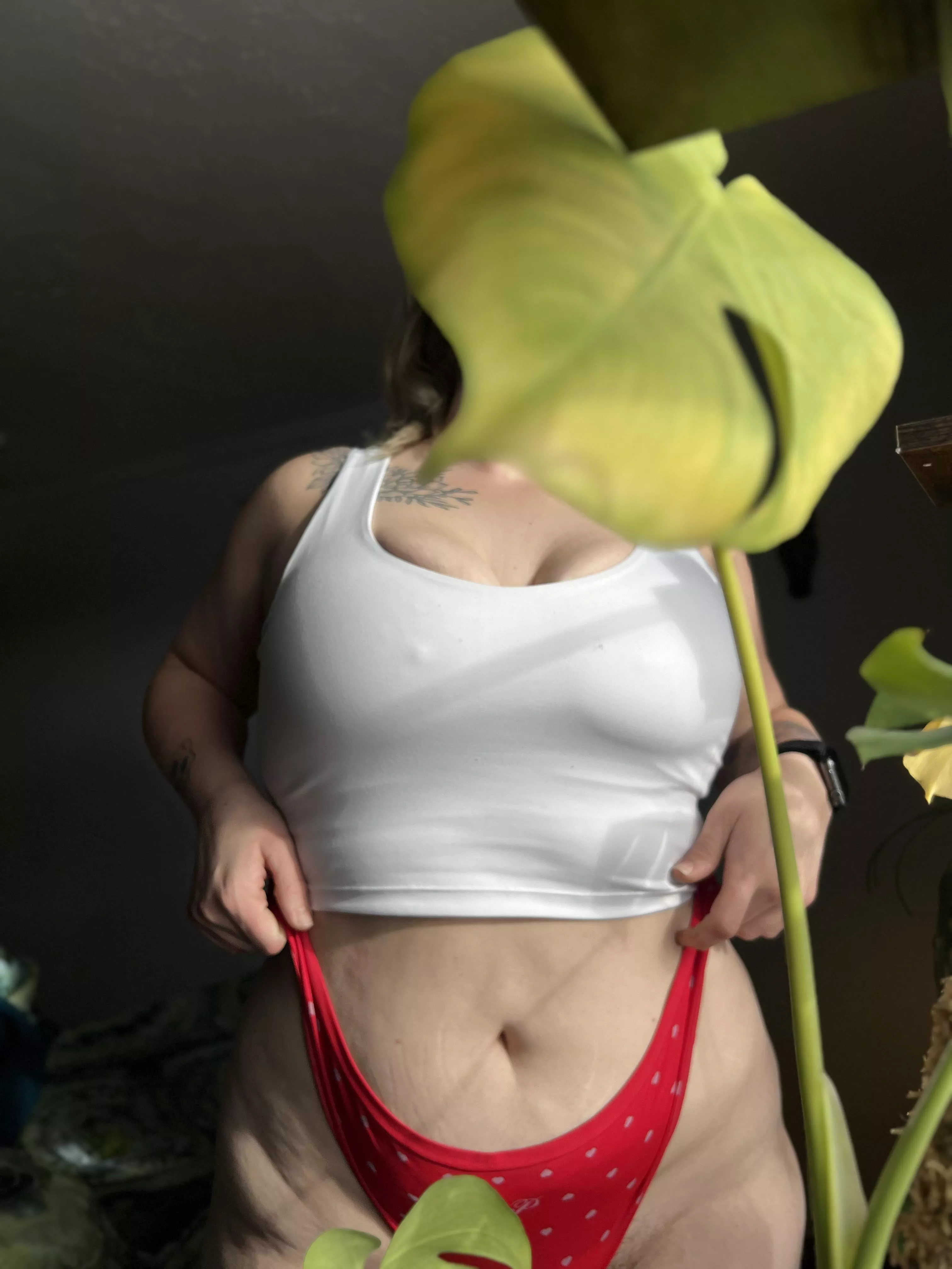 I think my monstera deliciosa needs some fertilizer 💦 