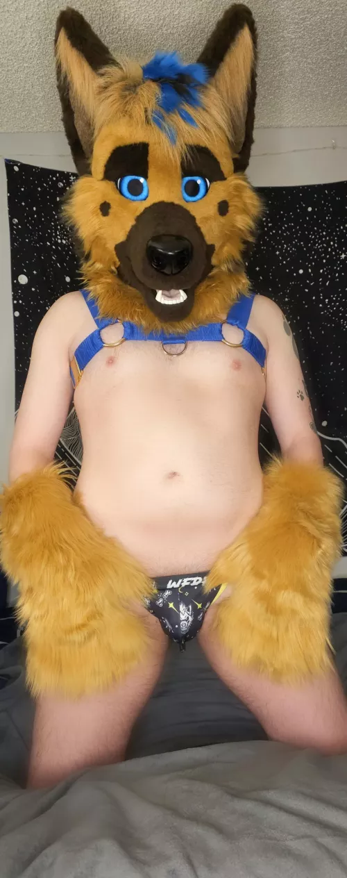 Jockstrap on or off? 😉