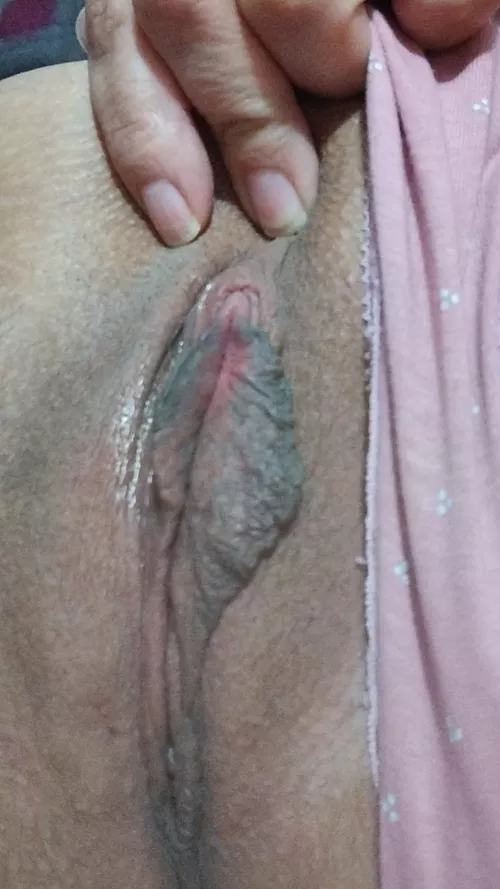 Labia pussy