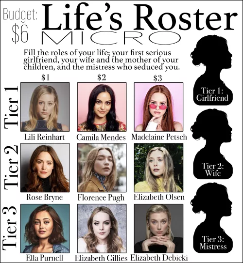 Life's Roster MICRO - Budget: $6