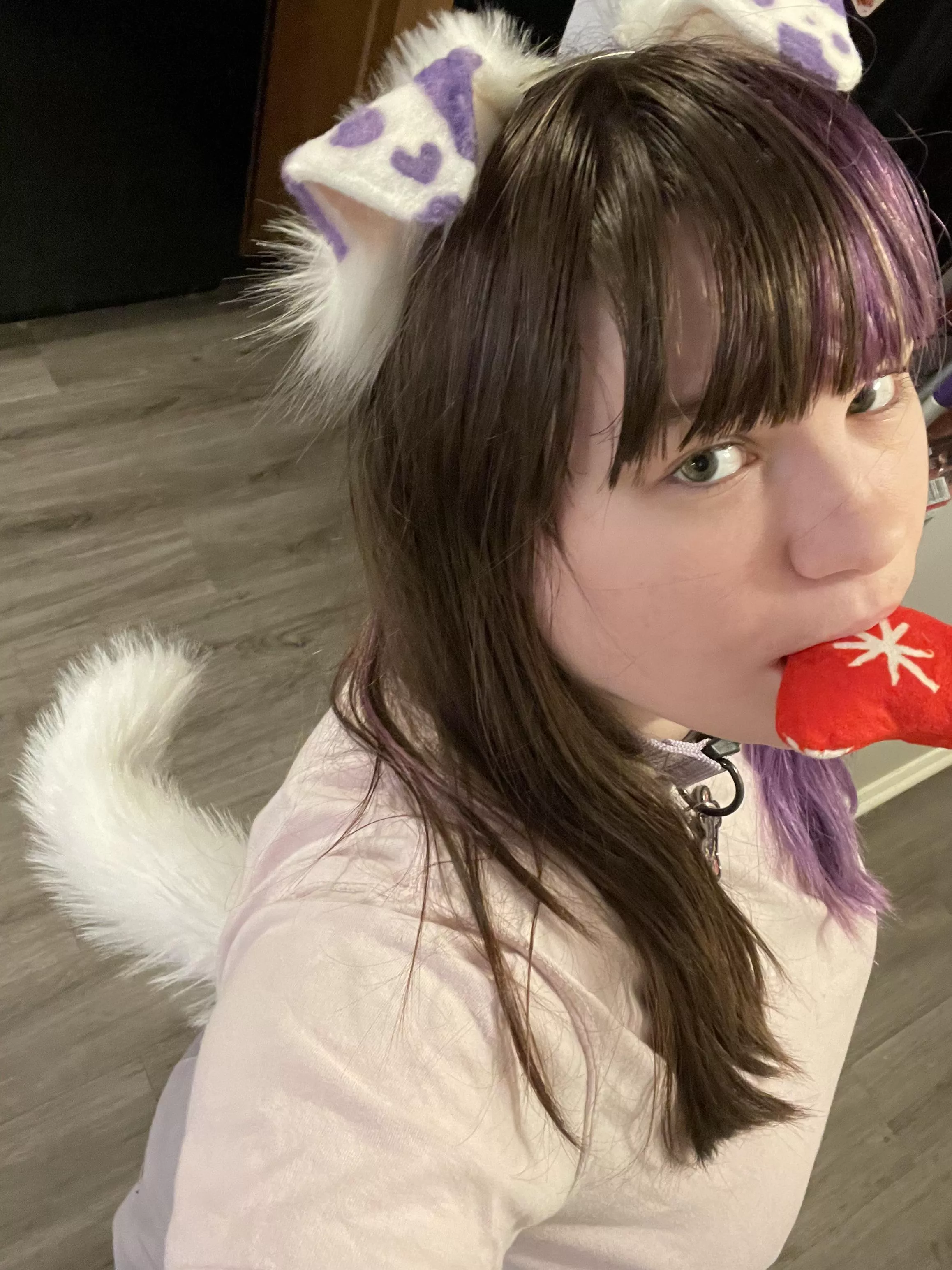 Look who got a Christmas bone!