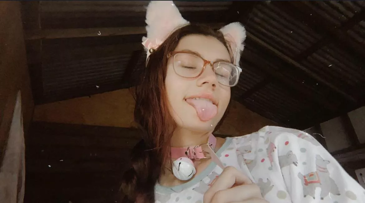 Masters little pup🐶🐾