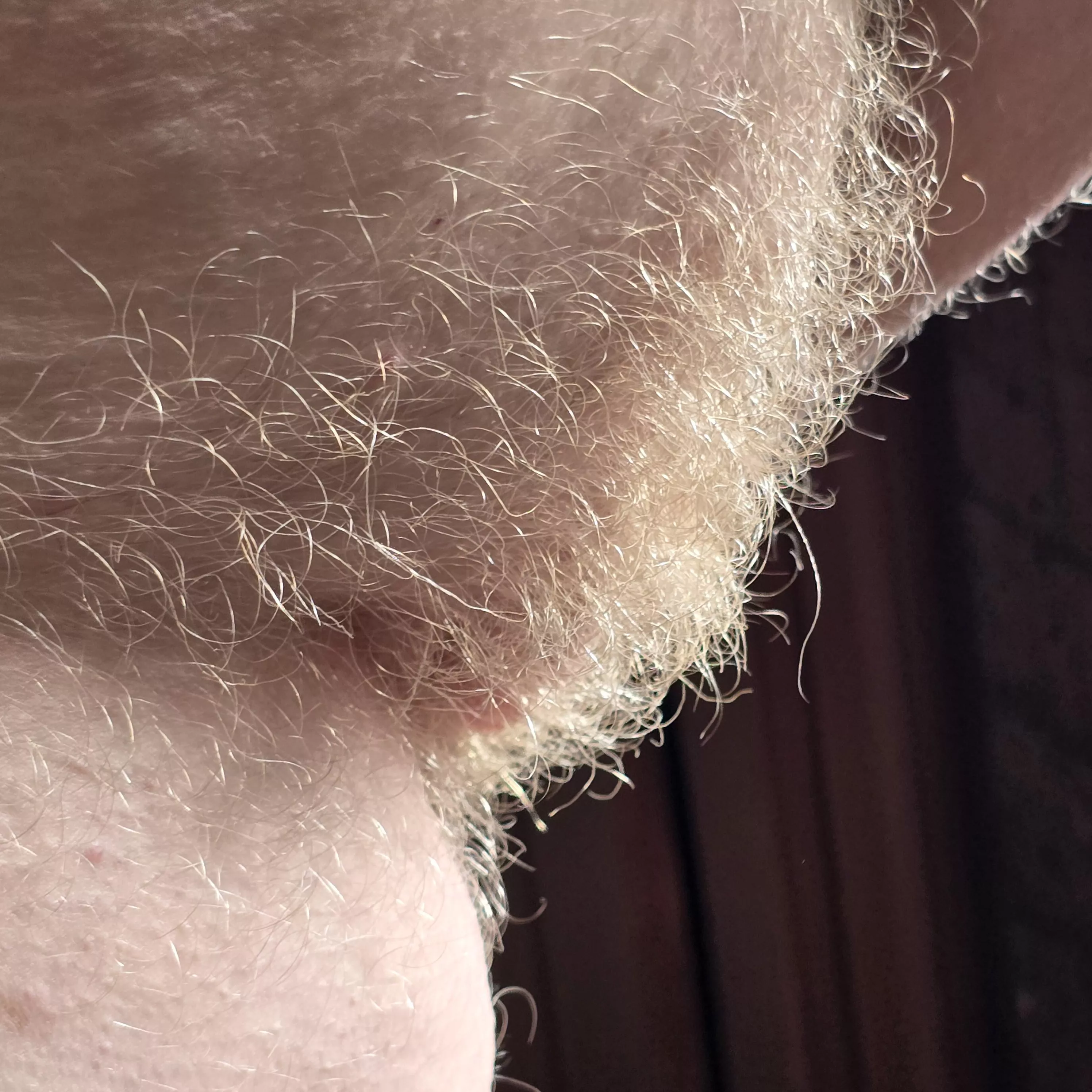 My first post. Hope you like my blondeness!