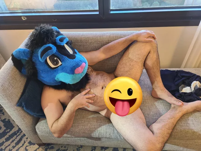 Oooh, what could I be hiding~? (OF: LustyLion9869 / JFF: LionclawAD)