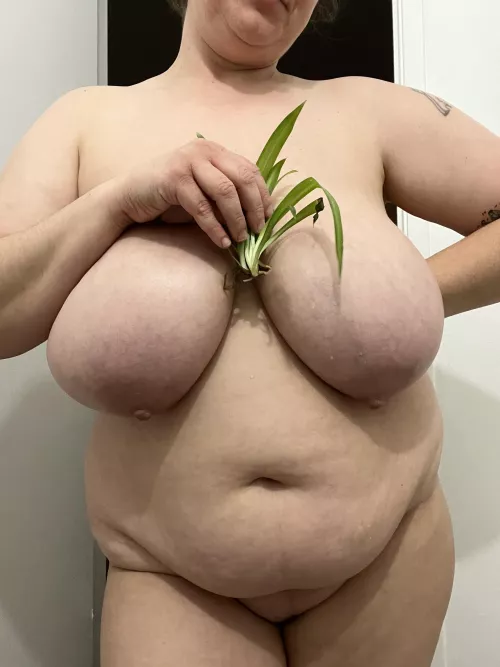 Remember that spider plant baby? It rooted! 