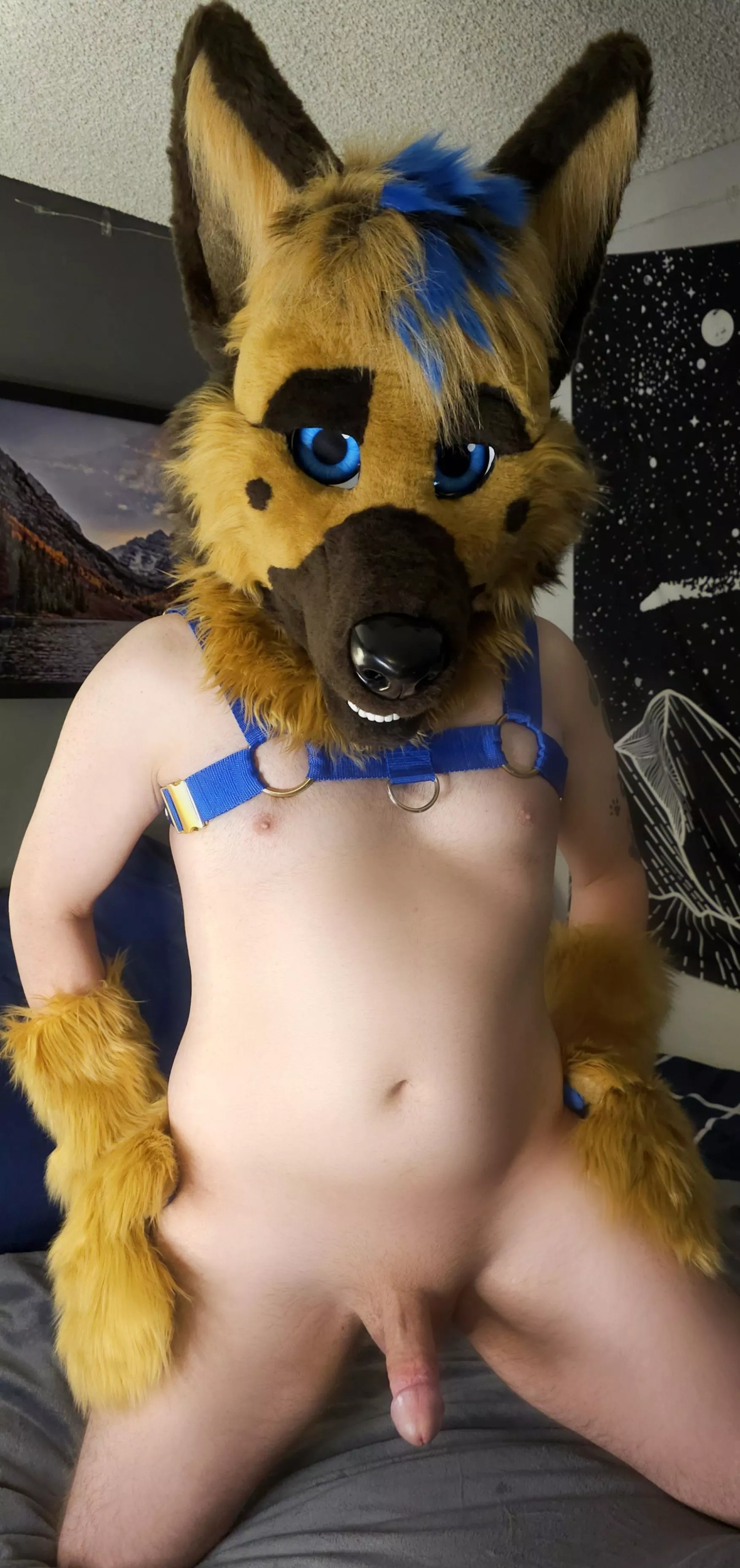 What are you waiting for??