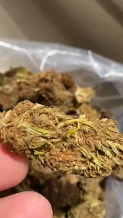 5g de lemon haze por 90 reais ta bom?