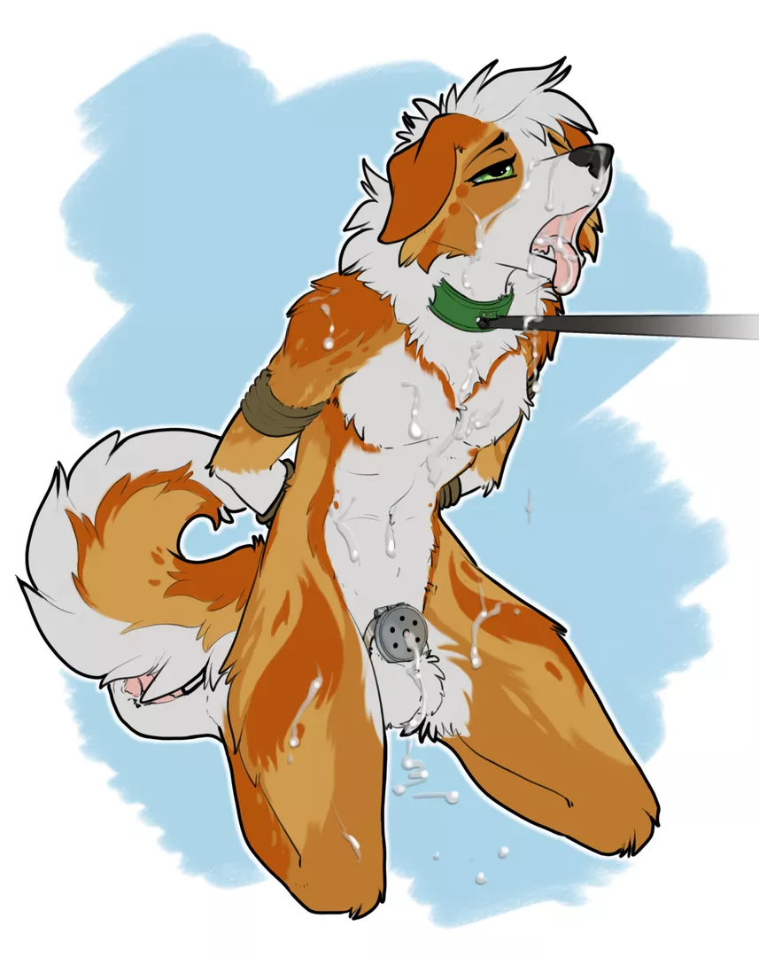 A Good Boy (ruaidri) [M]