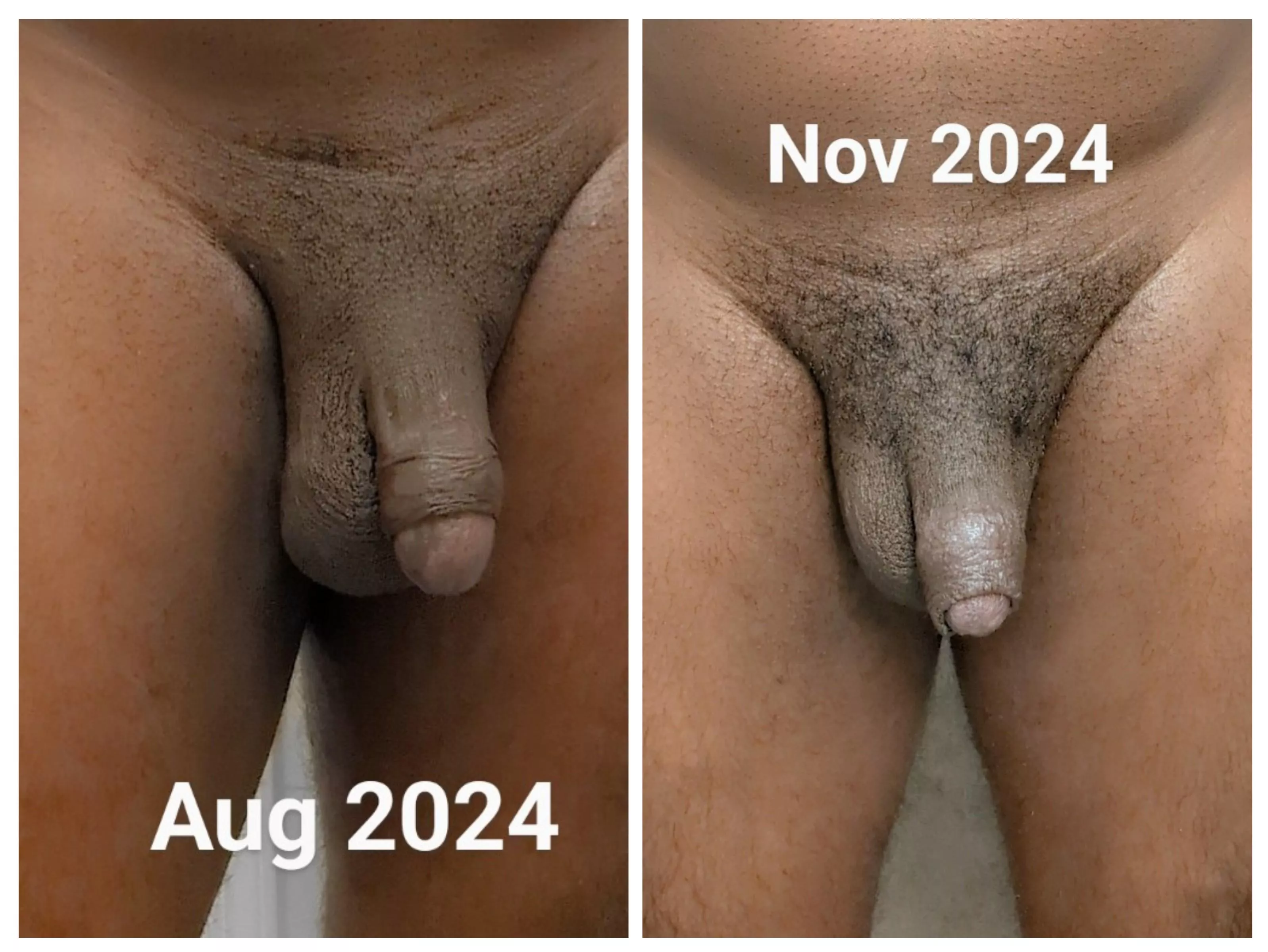 August to November progress.