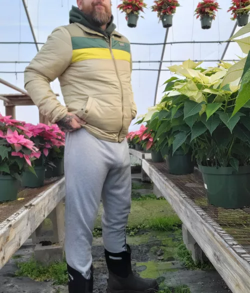 Bearded in sweats. No boners at work! But here ya go.