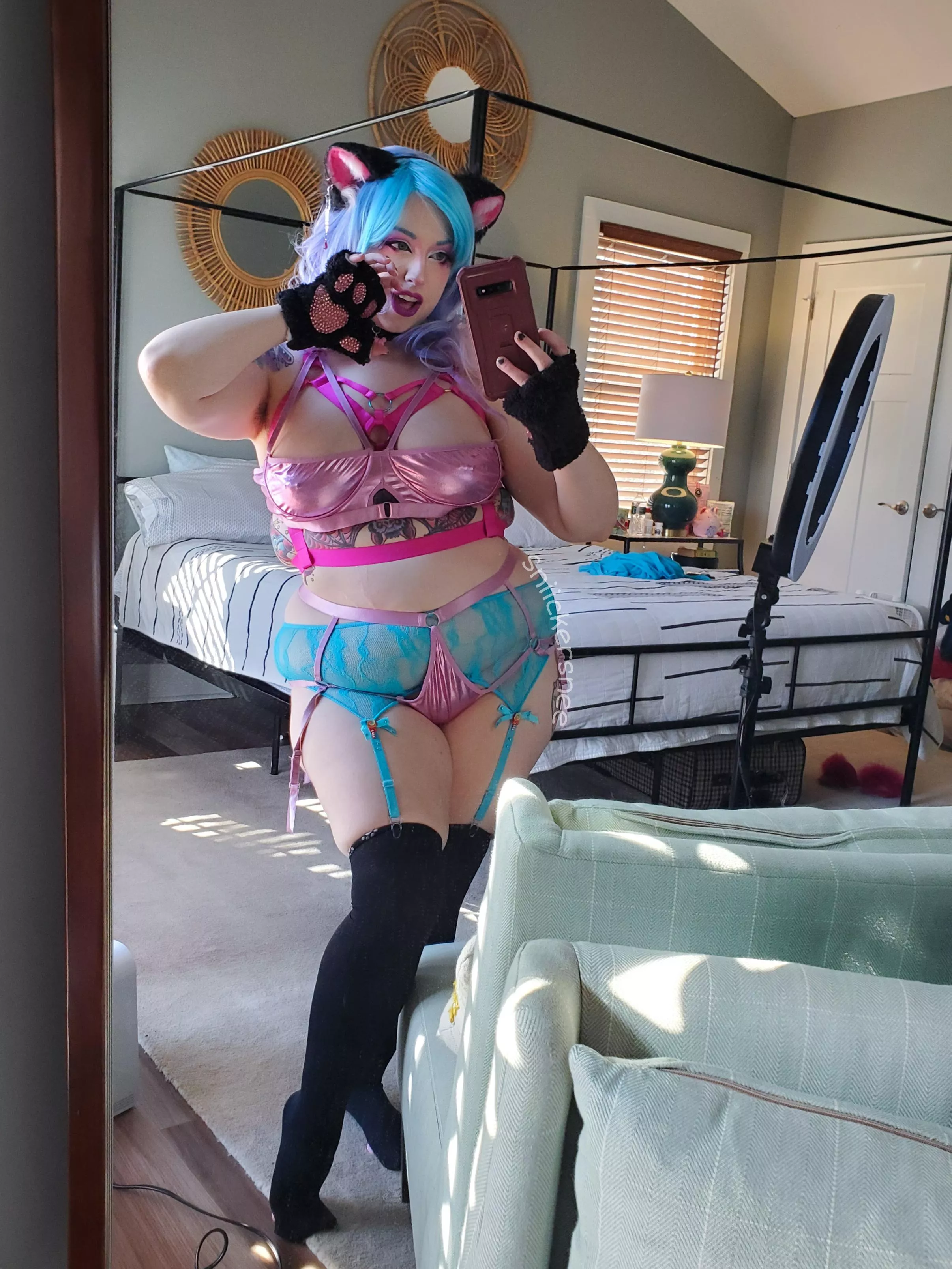 Cue the MeowMix theme