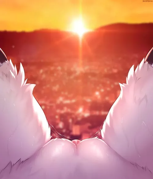 ~Do you like the sunset?~