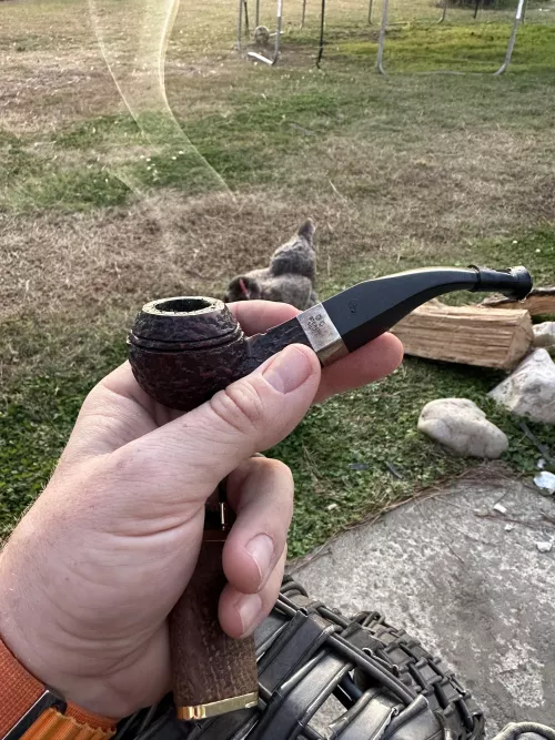 Enjoying a little White Rose this evening with the chickens 