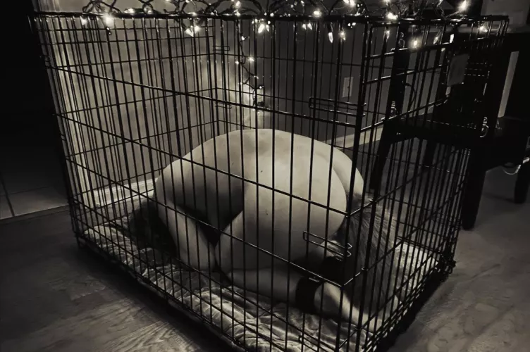 Enjoying being led to positions where service is law