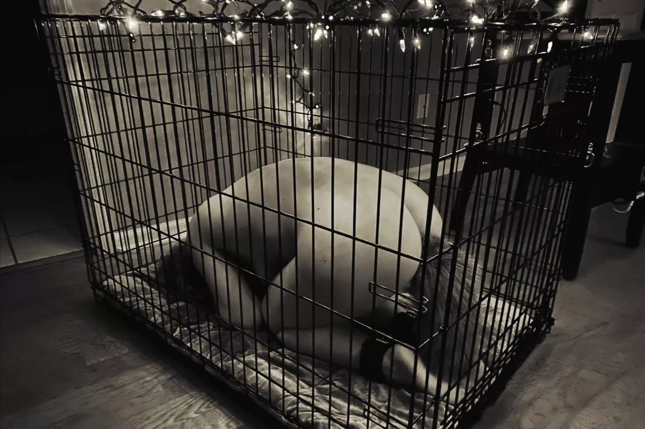 Enjoying being led to positions where service is law