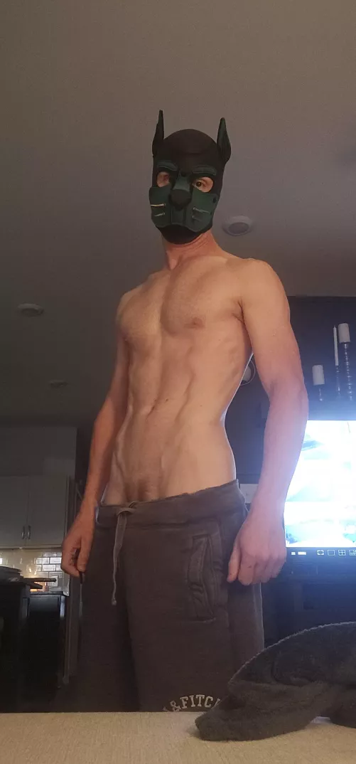 Good day to you all fellow pups! 