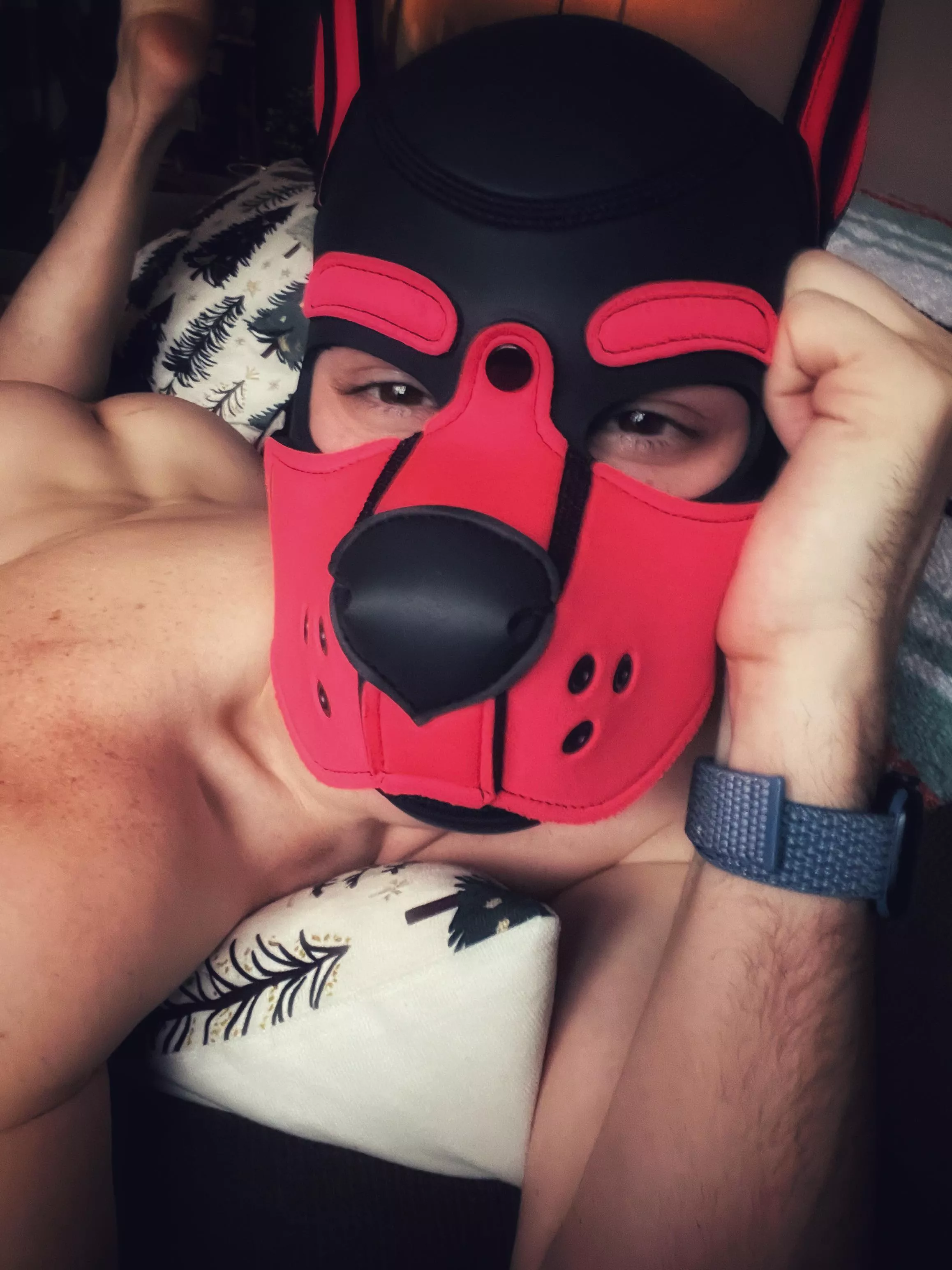 Hiiya puppies . Happy Sunday ! 