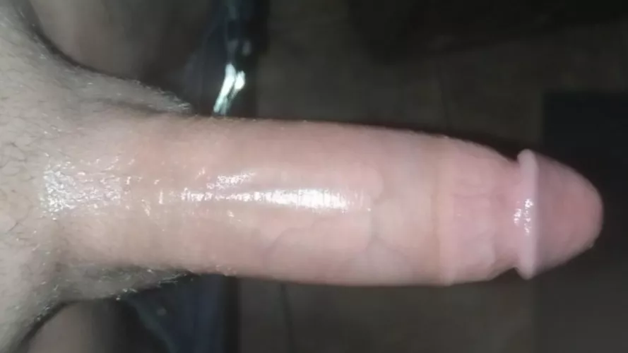 How many inches could fit in your ass? I've got a load to dump