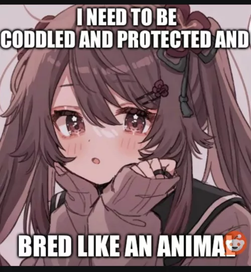 I need to be coddled