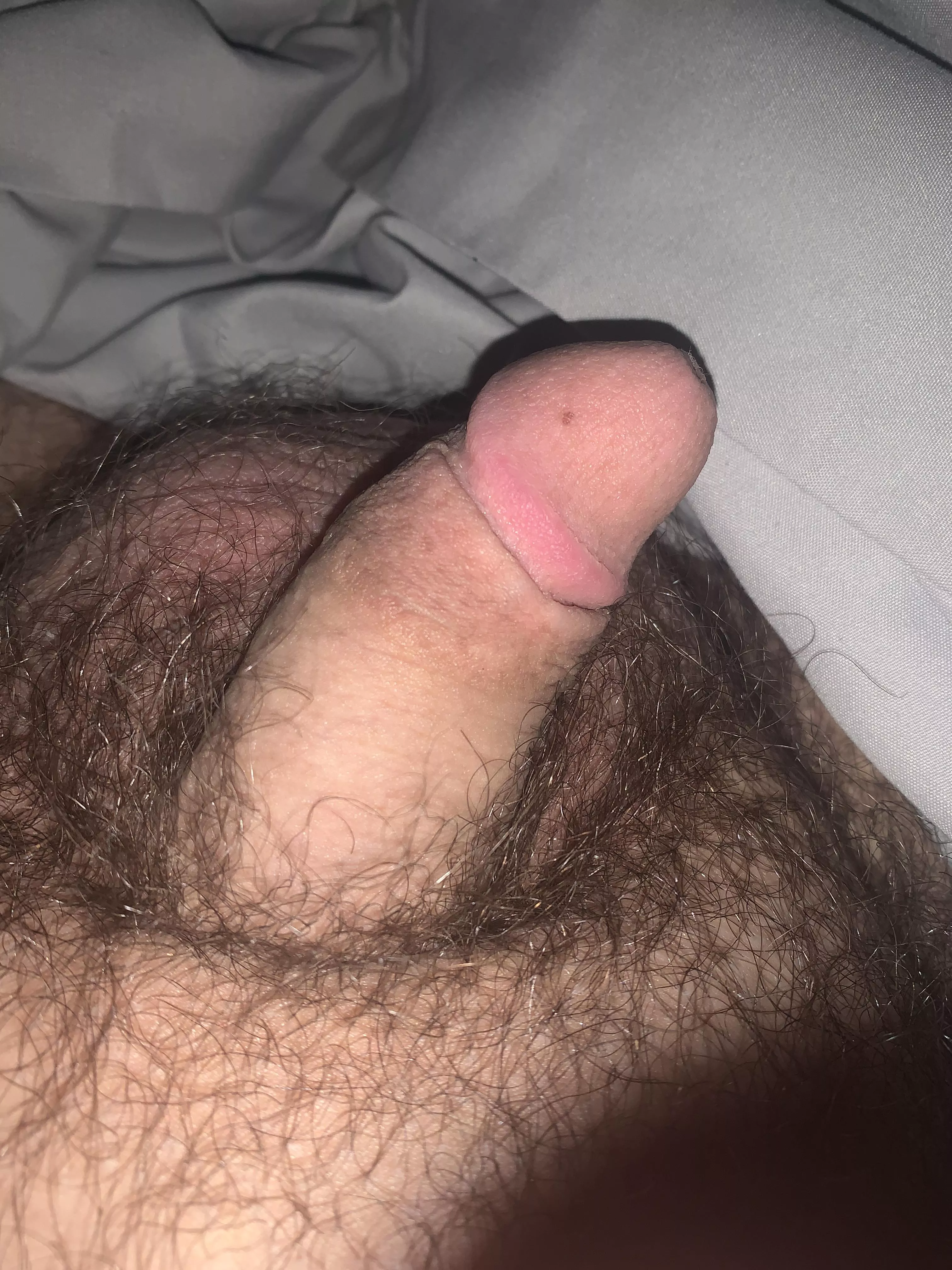 Look who is cold under the sheets