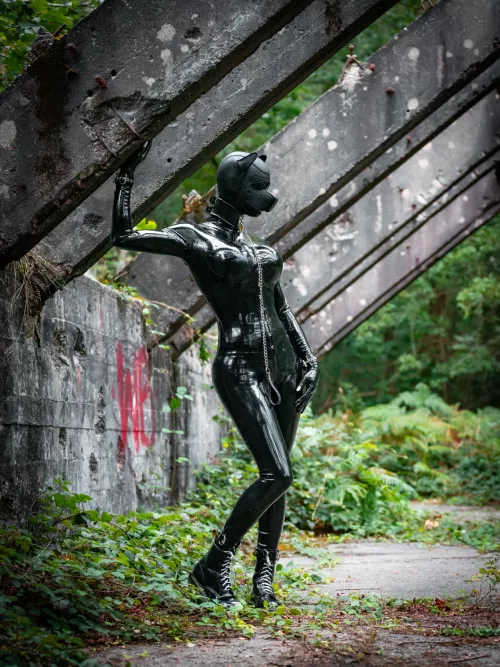 One stray rubber pup