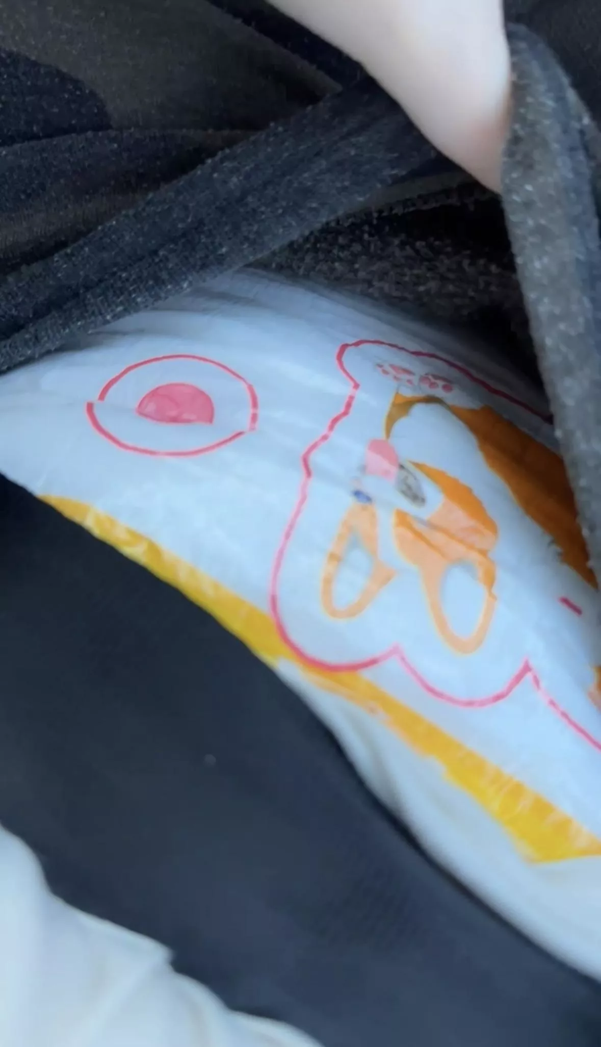 Padded in the car  Padded in the car