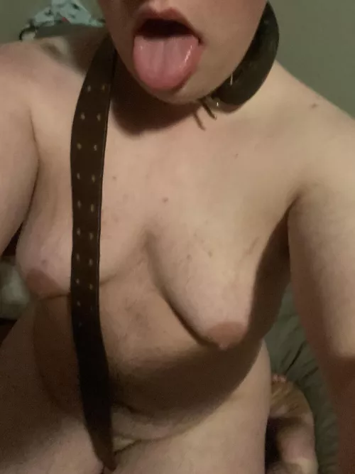 Rape a FTM sub bottom boy? Text me~ [3856667222]