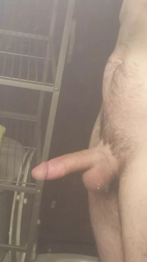 Tomorrow is my birthday. I need someone to fuck or at least head. Battle Creek and females only.