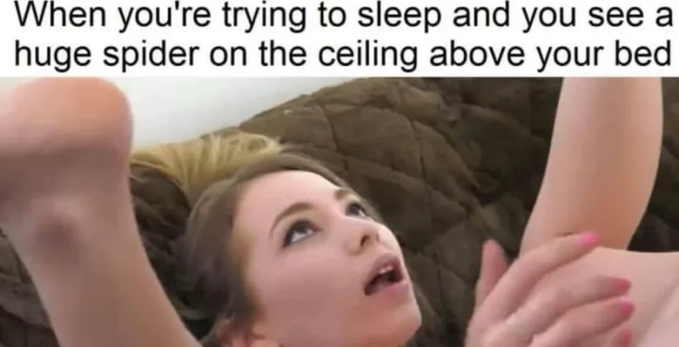 Be careful when you see spider 🕷️