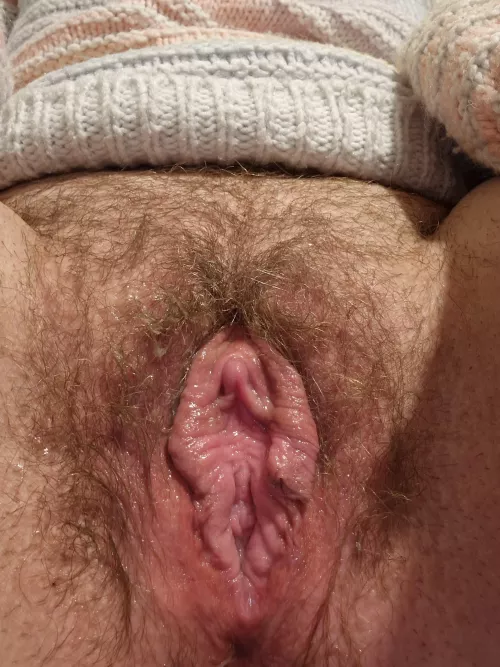 Hairy, wet and soaking wet