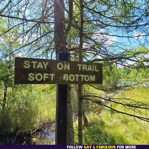 I cant believe this sign called me out like that 😭😂