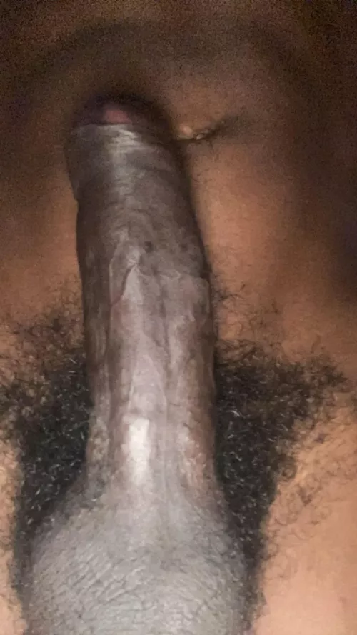 [M] 26 Friday Morning 