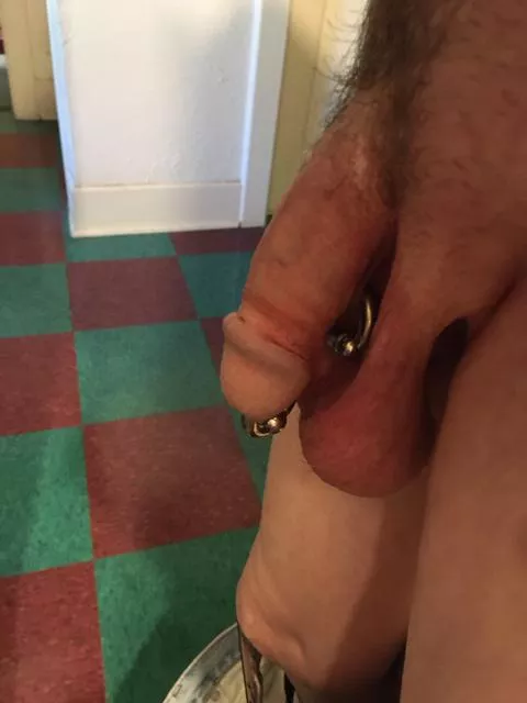My pierced cock