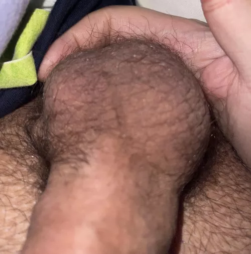 Would you suck them?