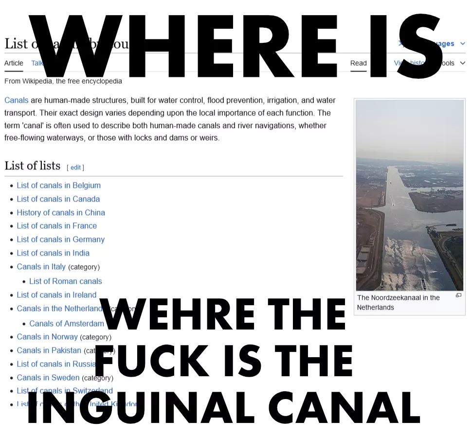 yall im not sure if i found it