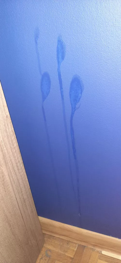 [18] Painted my wall 