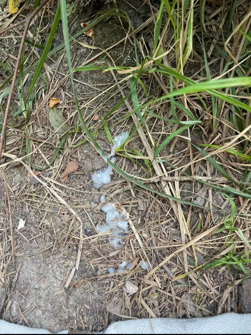 [22] giving back to nature