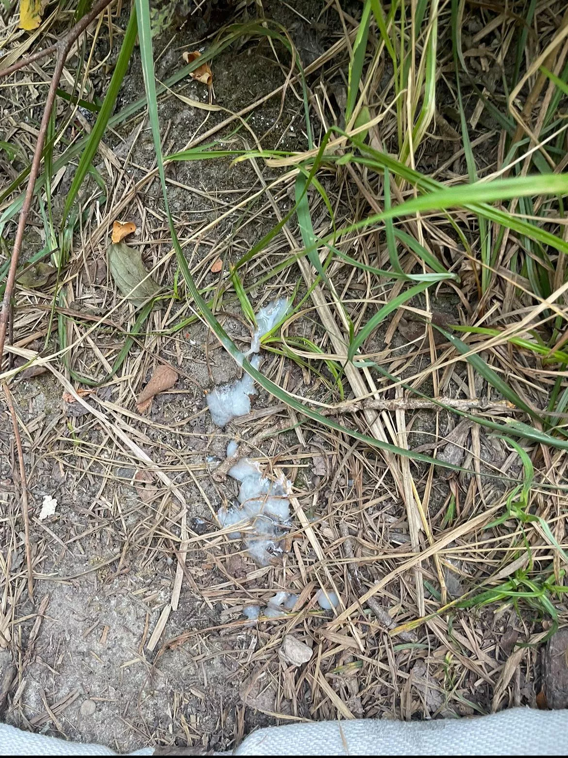 [22] giving back to nature