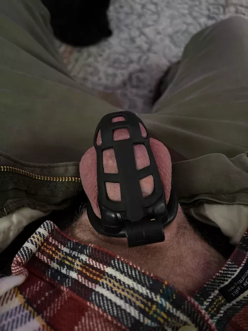 [33] First time caged… loving it so far!