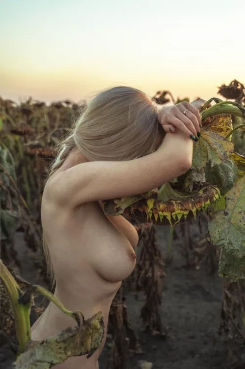 A beautiful sunset and a heart full of happiness 🌅❤️✨