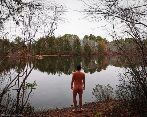 A moment of reflection as the seasons change. Though a common theme this time of year, we suggest adopting an attitude of gratitude as a year-round practice. Sincerely hoping that all of you are doing well, and to those who are celebrating this week, we 