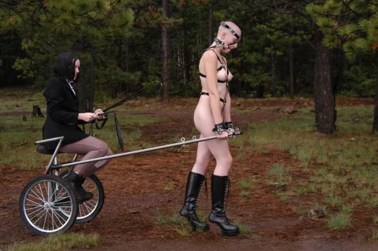 A trip in the forest