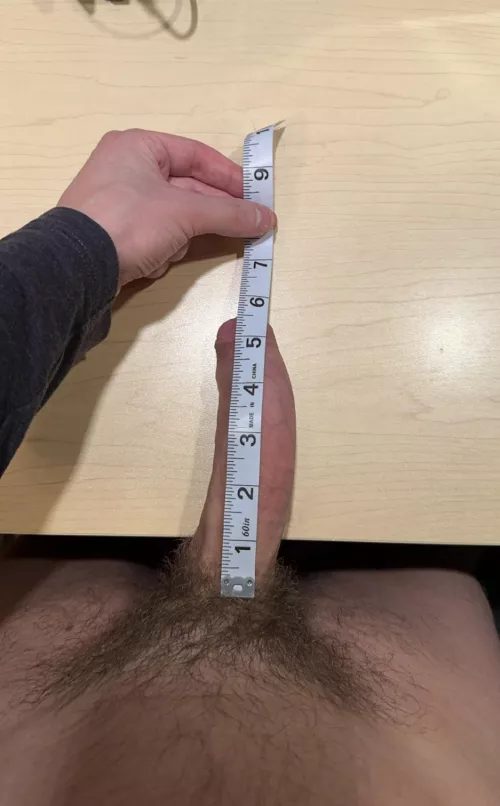 Average sized cock