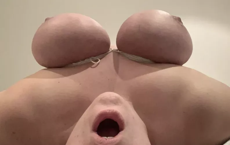 bound tits make perfect handles