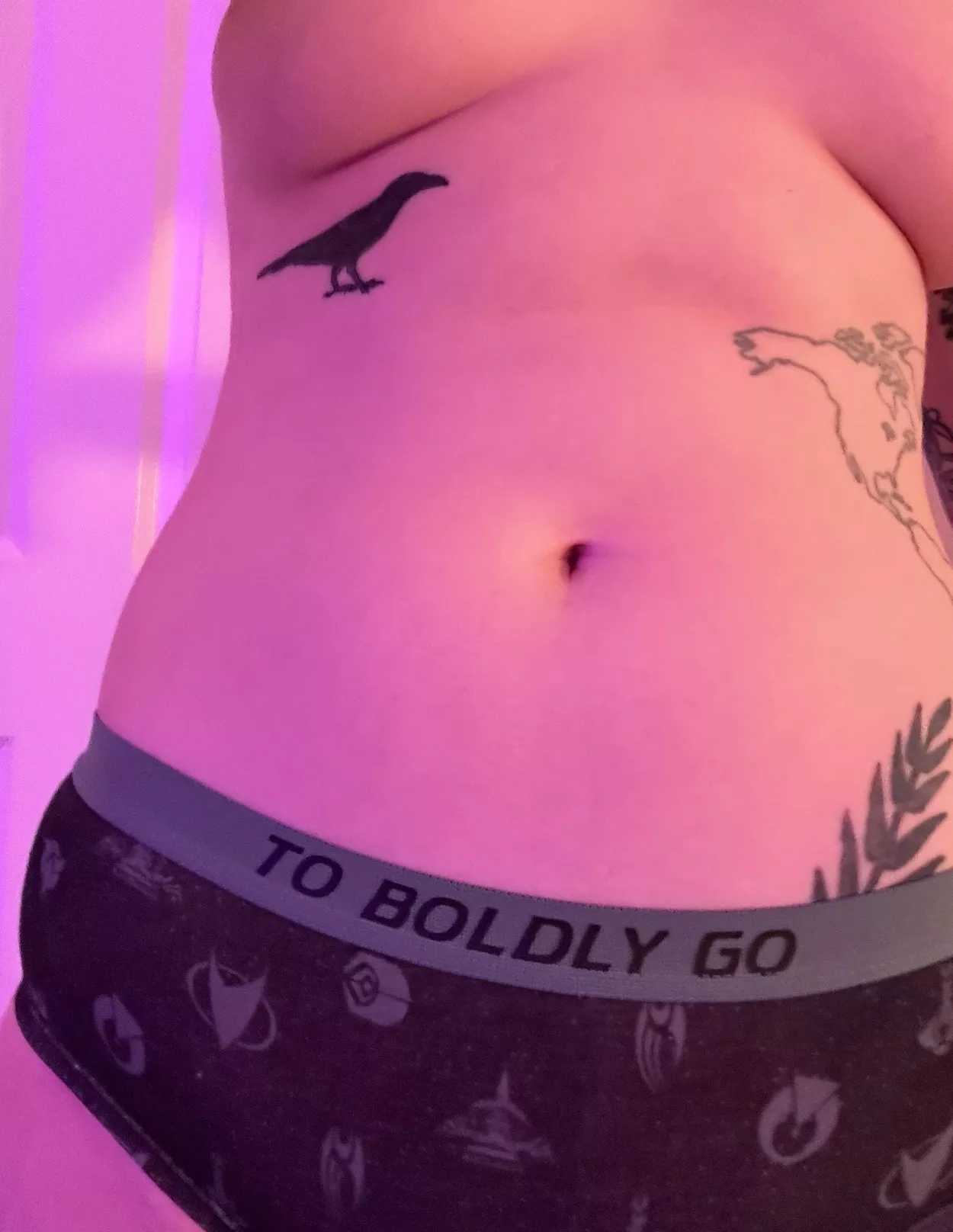 Captain's Log, Stardate 43153.7...