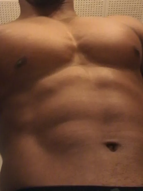 Clean cut classy BBC Bull