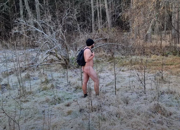 Cold morning in the woods