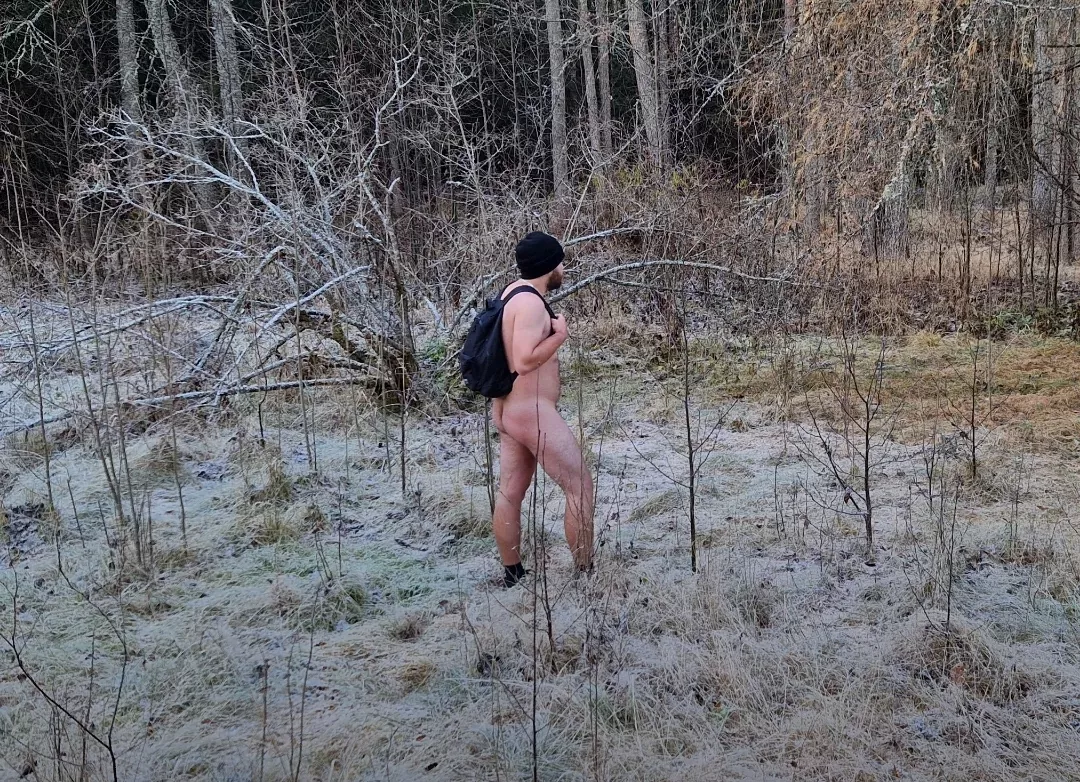 Cold morning in the woods