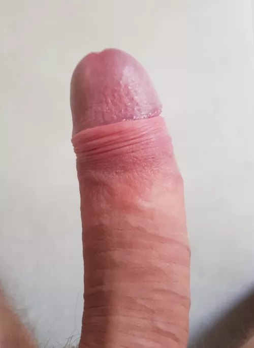 Curious to see if somebody wants to tribute my hard cock