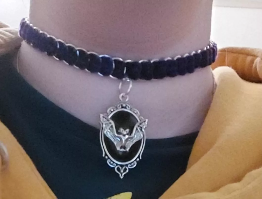 Day collar 😸
